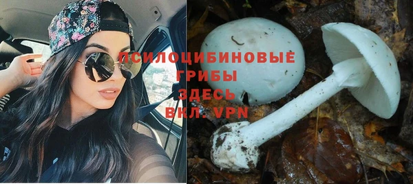 MESCALINE Алзамай