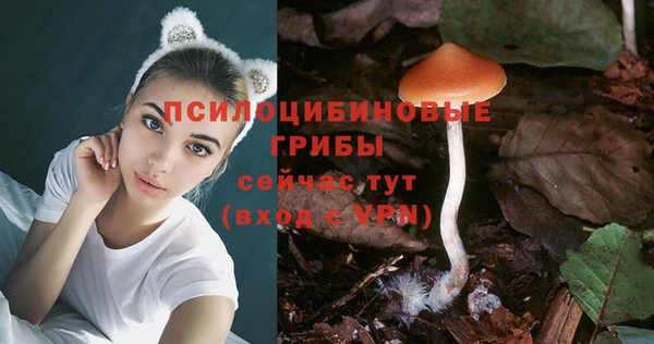 MESCALINE Алзамай