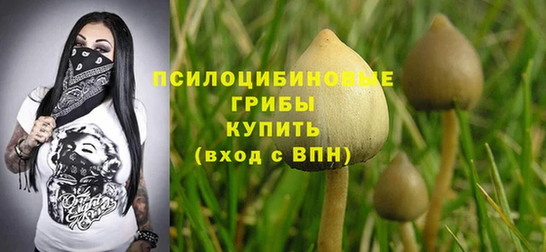 герыч Алексин