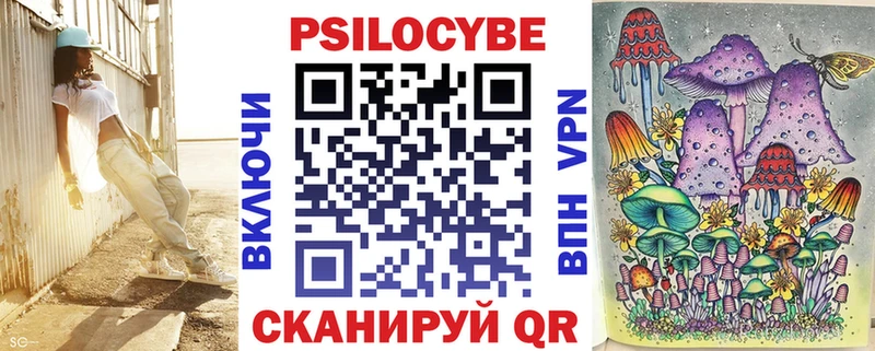 Псилоцибиновые грибы Psilocybine cubensis  наркошоп  Андреаполь 