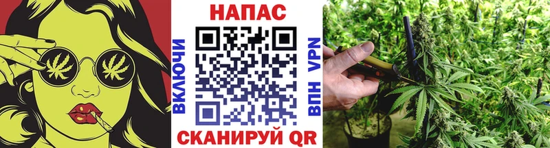 купить   Андреаполь  Конопля Bruce Banner 